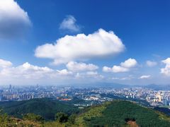 -长虫山生态公园风景林
