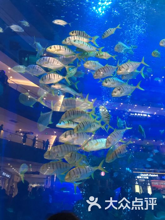 海滨城浩海立方海洋馆-图片-双流区周边游-大众点评网