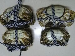-喜洋洋蟹庄(阳澄湖店)