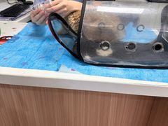 -达爱动物医院·犬猫分区·CT·复杂眼科(远洋山水分院)