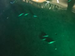 -宝丽金大酒店·洗浴中心