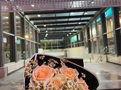 -循礼门鲜花花市(武汉循礼门店)