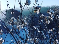 -太子岭滑雪场