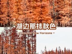 -白鹭湾湿地公园