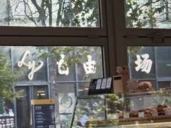 -WHEN PIGS FLY当猪飞
