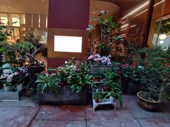 -二酉书店TOYOU BOOKS