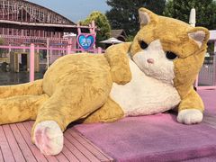 -渔岛海洋度假区