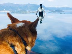 -大埔公路-马料水段香港中文大学(公交站)
