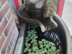 -老鼎万春卤菜(五代传承创始老店)