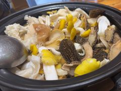 -菌之家·专业纯野生菌火锅·特色炒菌
