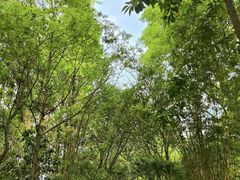 -成都市活水公园