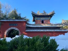 -洛阳白马寺