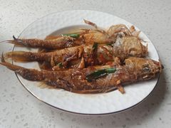 -爱贝尔高端月嫂(母婴护理)
