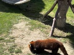 -水上乐园·欢乐世界