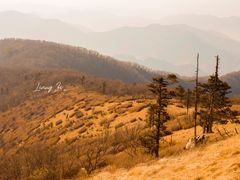 -秦岭风景区