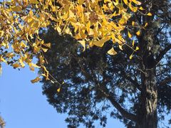 -狼山风景名胜区