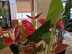-杭州香格里拉·香宫中餐厅