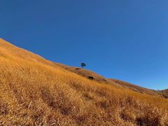 -萍乡武功山风景名胜区