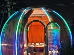 -羊门客在·烤盐池滩羊·川菜