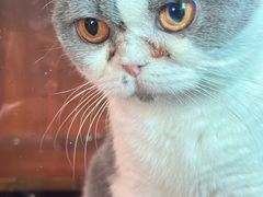 -抱暴龙爬宠·异宠·撸宠撸爬主题馆(大学路店)