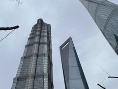 -上海柏悦酒店