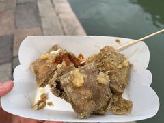 -茅老太臭豆腐