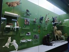-国家自然博物馆