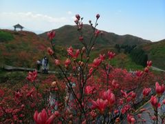-大围山国家森林公园