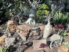 -国家植物园南园