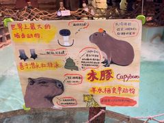 -正佳雨林生态植物园