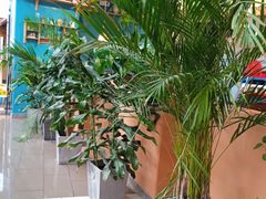 -彼德西餐厅(凯德广场新南店)