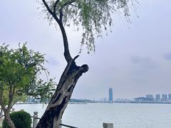 -无锡蠡湖国家湿地公园-蠡园