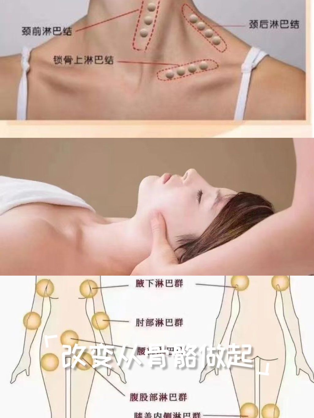 你知道淋巴是什么吗