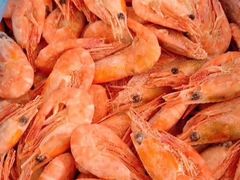 野夫水产专业经营海虾-大东门农贸市场(东顺城街)