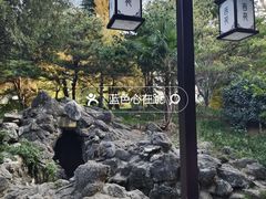 -西苑公园