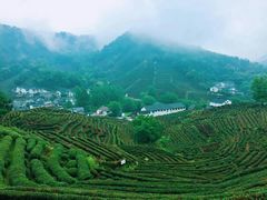 -西湖风景区十里琅珰-五云山