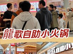 -龍歌自助小火锅(崂山丽达店)