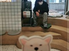 -柴务处·柴犬主题狗咖