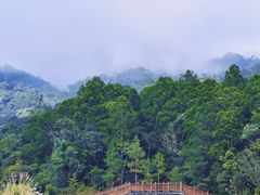 -海南热带雨林国家公园吊罗山景区