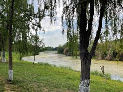 -白鹭湾湿地公园