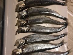 -胡哥烤肥牛(车公庙店)