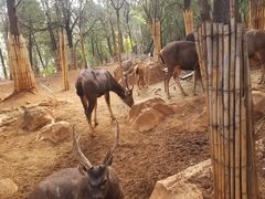 -昆明动物园