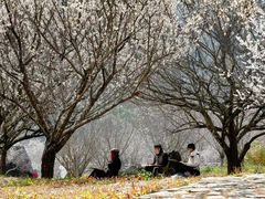 -广州市石门国家森林公园