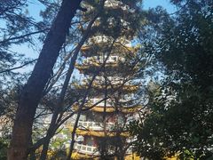 -仙岳公园