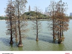 -顺峰山公园