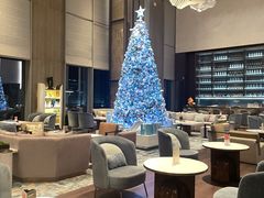 -深圳国际会展中心希尔顿酒店(前海华发冰雪世界店)