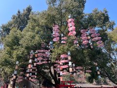 -古隆中景区