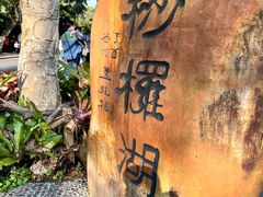 -深圳仙湖植物园
