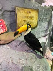 -Zoolung Zoolung动物主题公园(海信广场店)