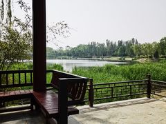 -北坞公园